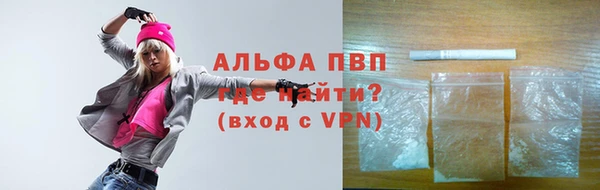 шишки Горно-Алтайск
