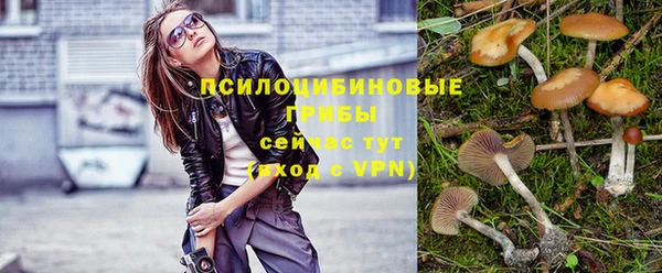 а пвп мука Верхний Тагил