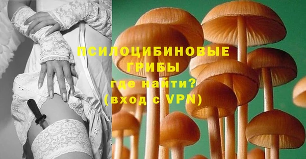 эйфоретик Вязники