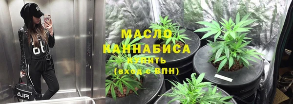 шишки Горно-Алтайск