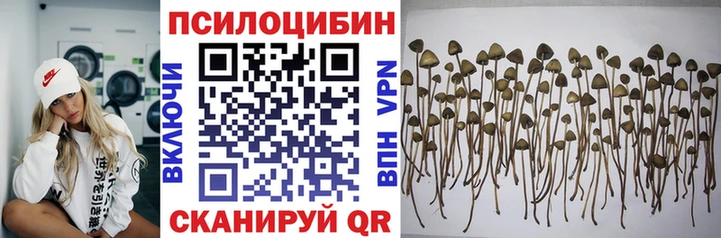 Псилоцибиновые грибы мухоморы  Заречный 